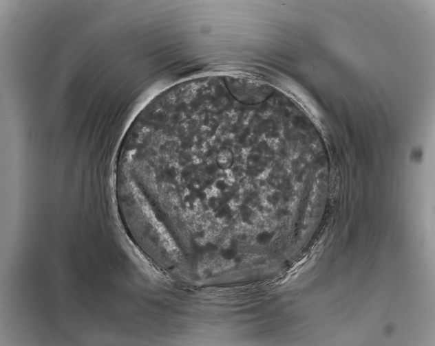 X0000099310907200805161410