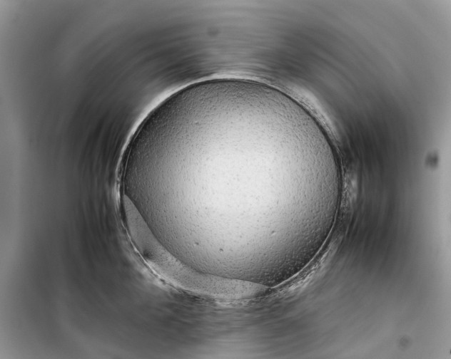 X0000099310908200805161410