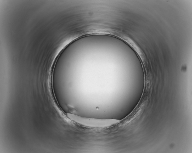 X0000099310909200805161410