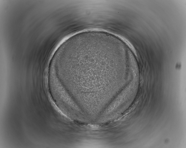 X0000099310911200805161410