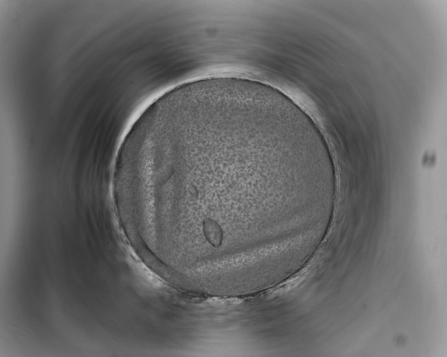 X0000099310912200805161410