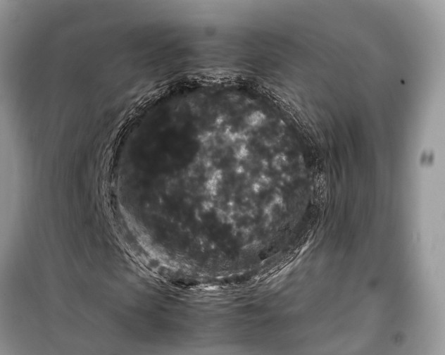 X0000099310913200805161409