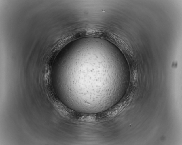 X0000099310914200805161409