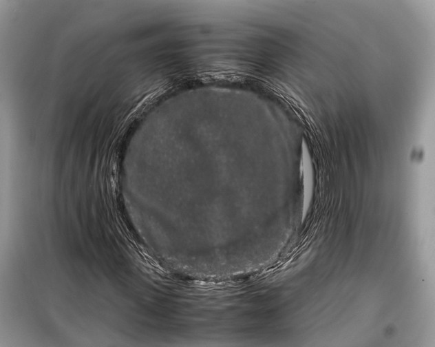 X0000099310915200805161409