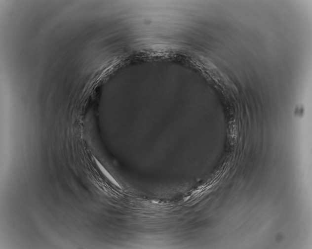 X0000099310916200805161409