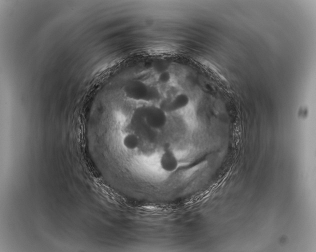 X0000099310917200805161409