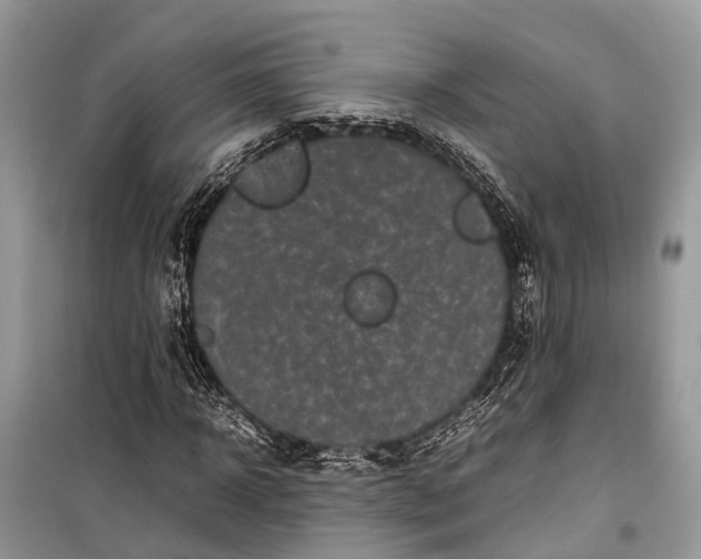 X0000099310918200805161409