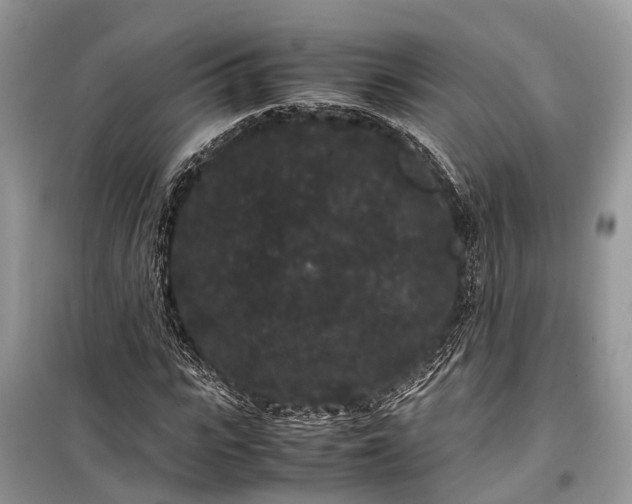 X0000099310919200805161409