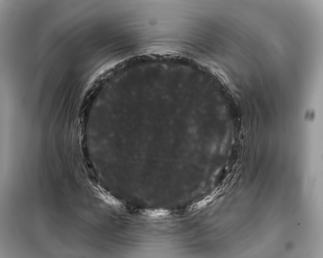 X0000099310920200805161409