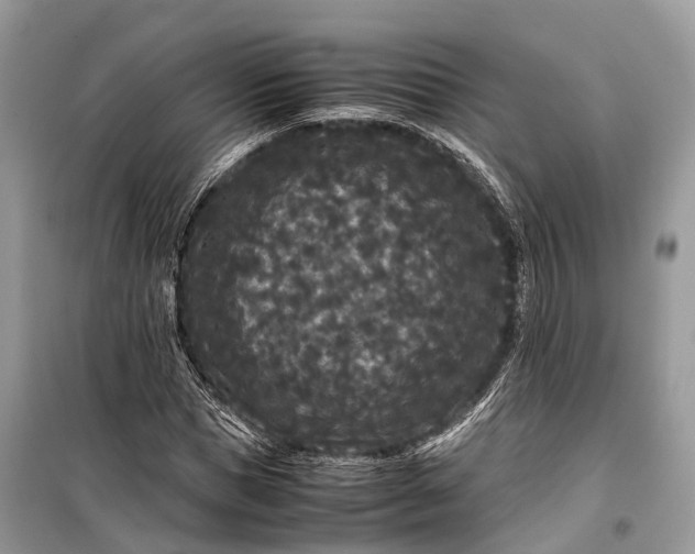 X0000099310921200805161409