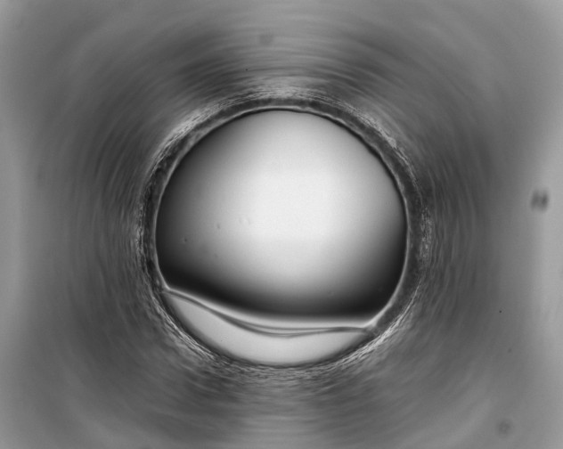 X0000099310922200805161409