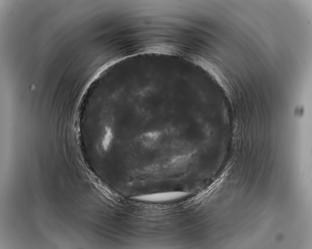 X0000099310923200805161409