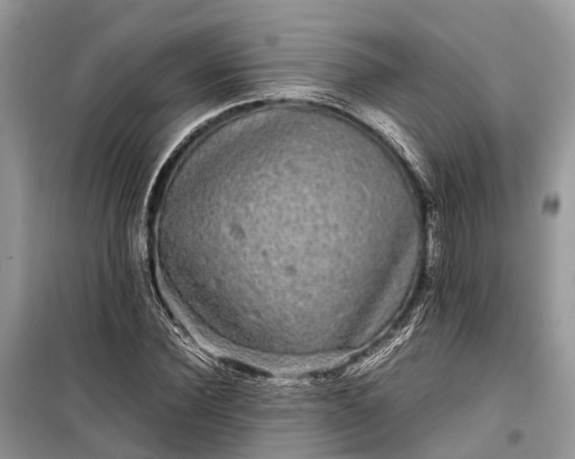 X0000099310924200805161409