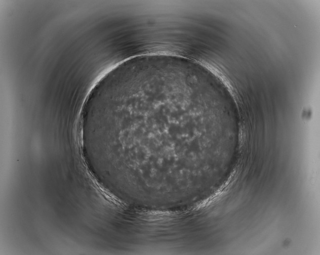 X0000099310925200805161409