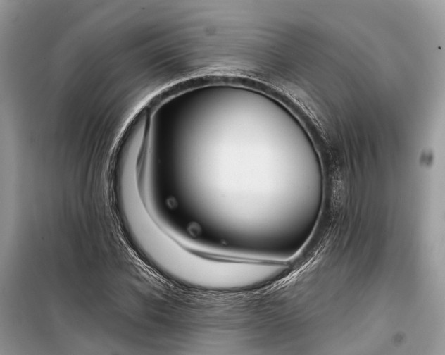 X0000099310926200805161409