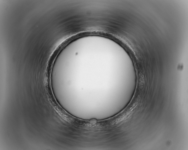 X0000099310927200805161409