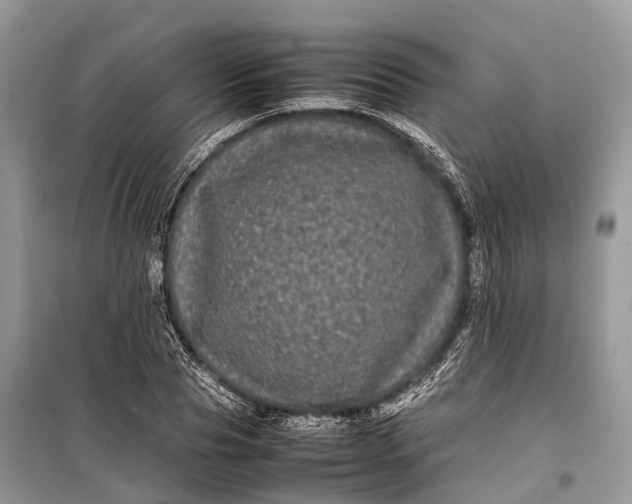 X0000099310929200805161409