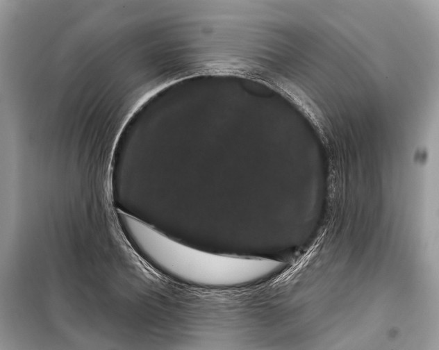 X0000099310932200805161409