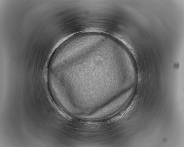 X0000099310933200805161409