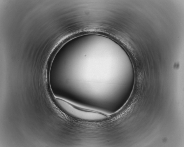 X0000099310934200805161409