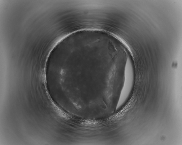 X0000099310935200805161409