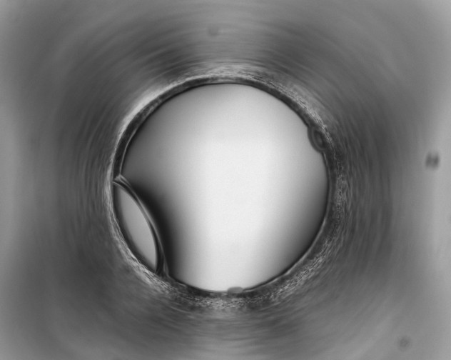 X0000099310936200805161409