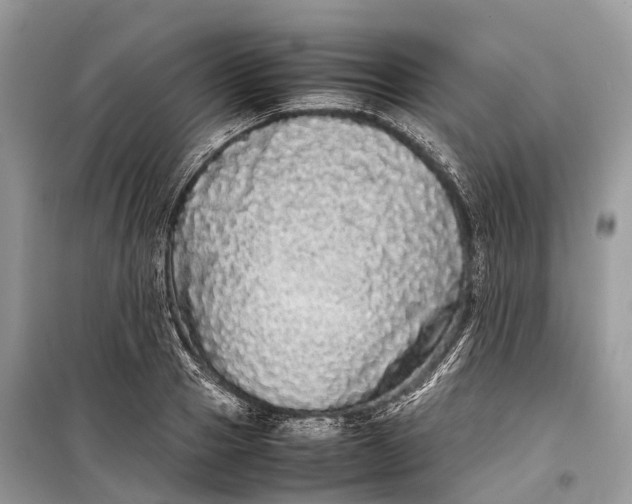 X0000099310937200805161409