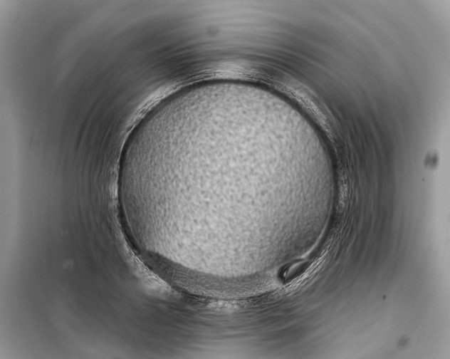 X0000099310938200805161409