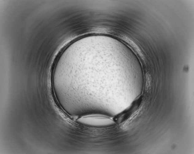 X0000099310939200805161409