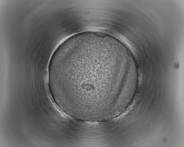 X0000099310940200805161409