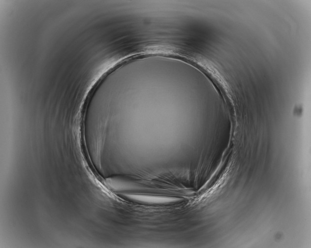 X0000099310941200805161409