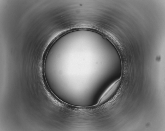 X0000099310942200805161409