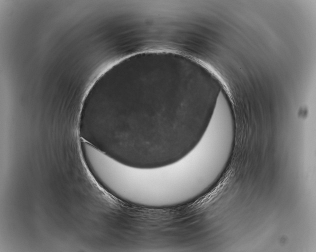 X0000099310943200805161409