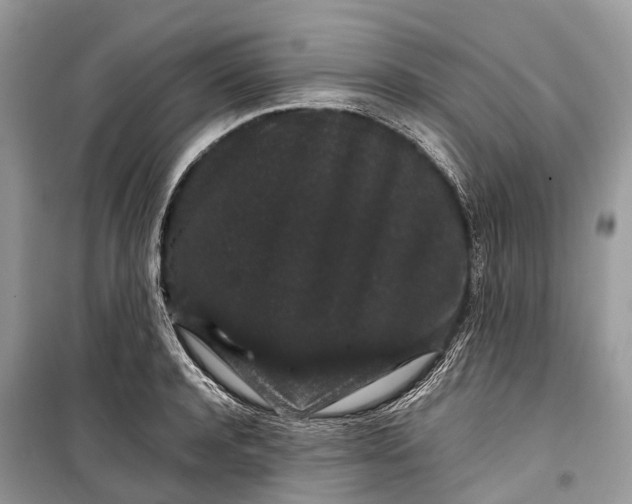 X0000099310944200805161410