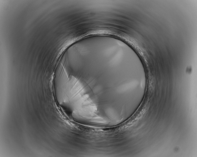 X0000099310945200805161410