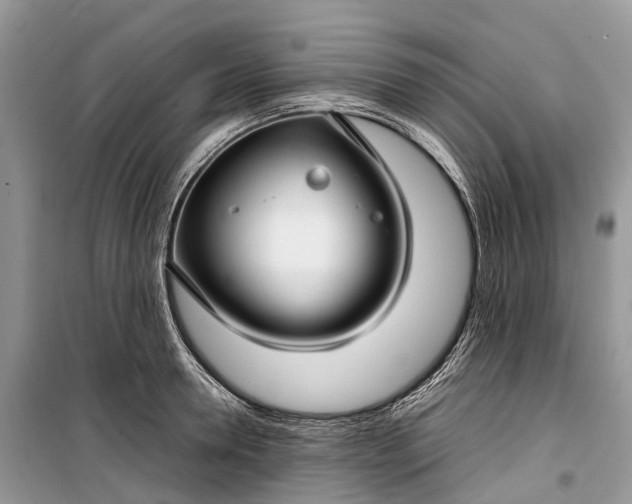 X0000099310946200805161410