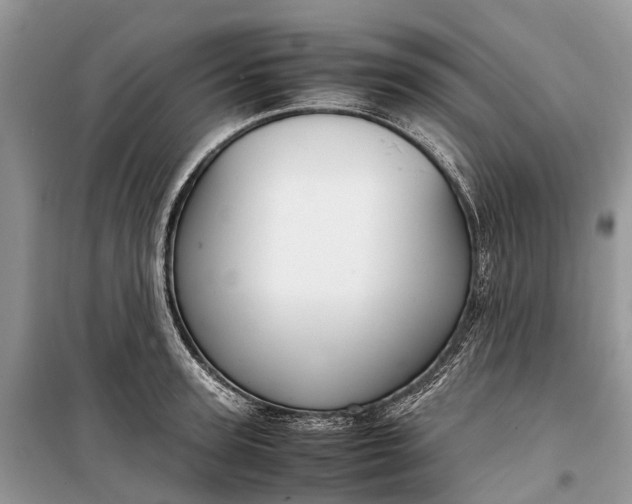 X0000099310947200805161410