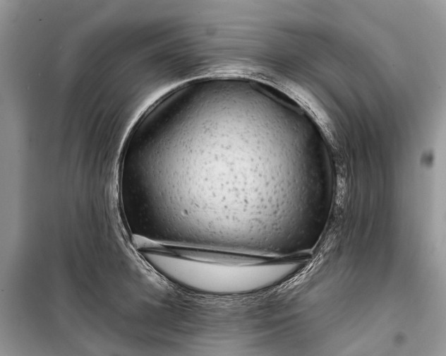 X0000099310948200805161410