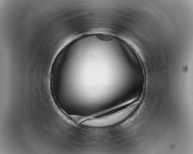 X0000099310949200805161410