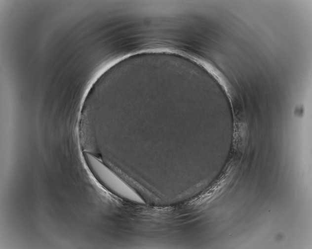 X0000099310951200805161410