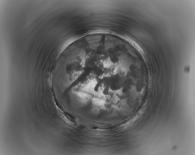 X0000099310953200805161410