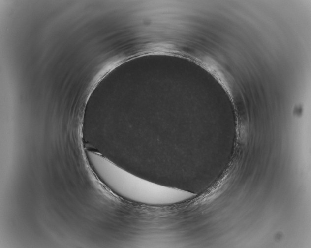 X0000099310954200805161410