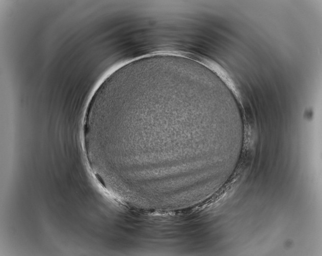 X0000099310955200805161410