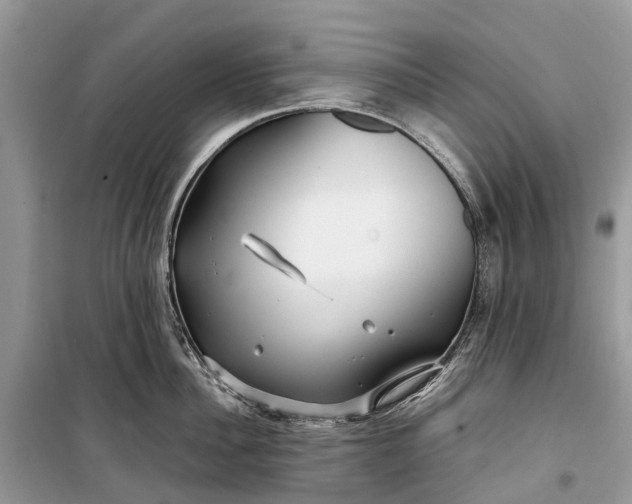 X0000099310956200805161410