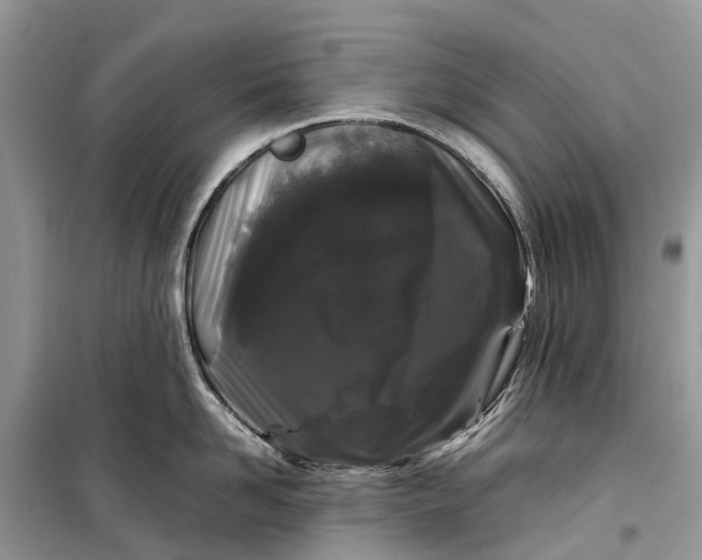 X0000099310958200805161410