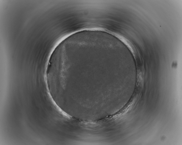 X0000099310959200805161410