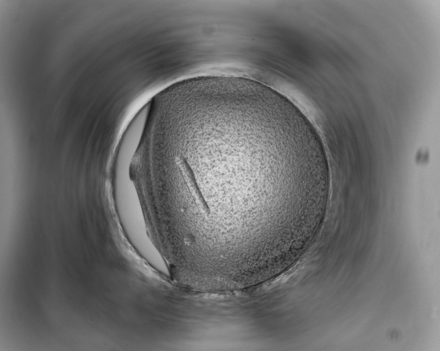 X0000099310960200805161410