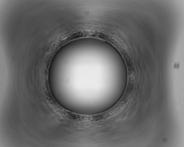 X0000099310961200805161409