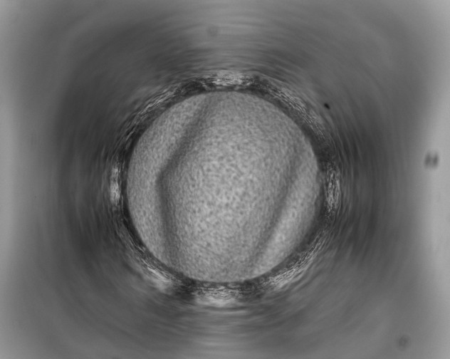 X0000099310962200805161409