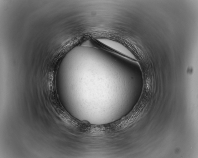 X0000099310964200805161409